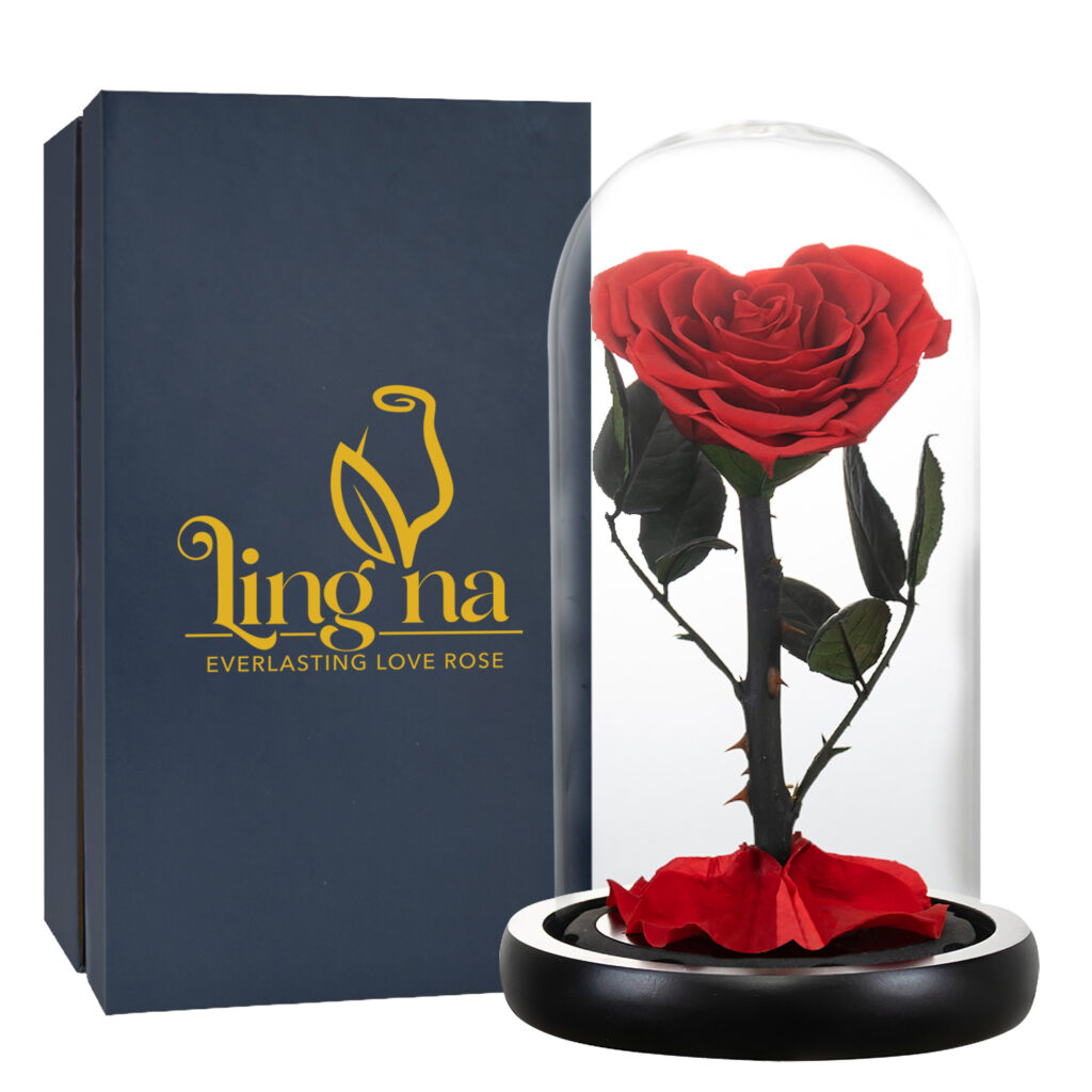 Heart Shaped Rose In Glass Dome - Preserved Roses Ontario