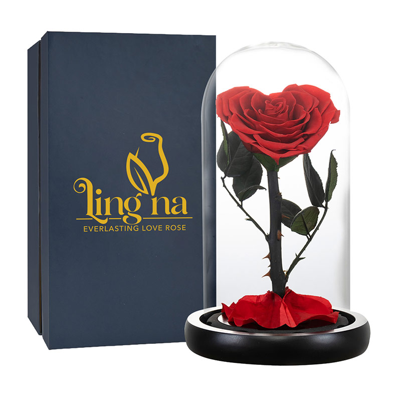 Preserved Roses For Mother's Day - Richmond Hill Ontario - Preserved Roses Valentine's Day