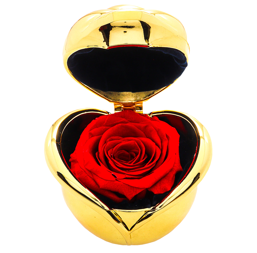 Preserved Roses Richmond Hill - Valentines Day Roses